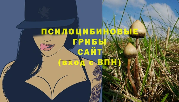 МДПВ Абаза