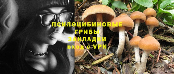 первитин Абинск