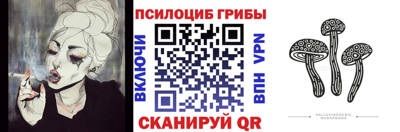 Псилоцибиновые грибы Magic Shrooms Северская