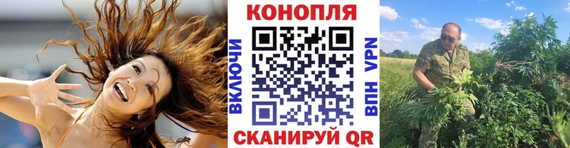 Бошки марихуана OG Kush где продают наркотики Северская